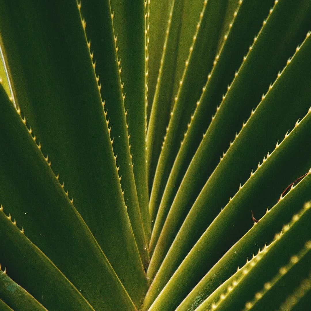 Embark on a Transformative Journey: ASCHP's Ethics CPD 24.1 Unveiled